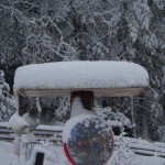 Bird feeder in our east side yard after the March 23, 2011, blizzard.
