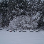 One day it was starting to look like spring, the next day it was not. (Blizzard March 23, 2011).)
