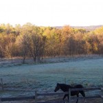 Before the sun came up all of the way, white frost blanketed Rural Route 2 one October morning. My old horse, Kajun, was pacing back and forth by the fence, waiting for his breakfast. (October 2010)