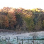 The trees across the road turn brilliant reds and yellows and oranges during the fall. It won't be long before the leaves are gone and the frost is replaced with snow. (October 2010)